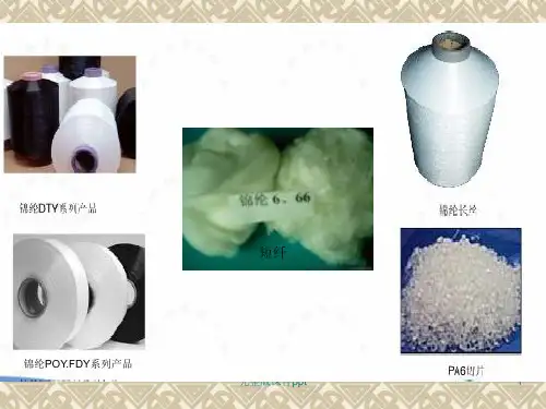 合成纤维第六章锦纶