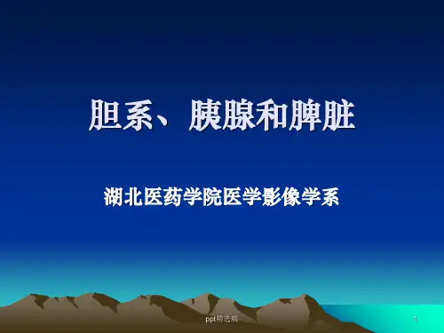 医学影像学-胆系、胰腺和脾脏PPT课件