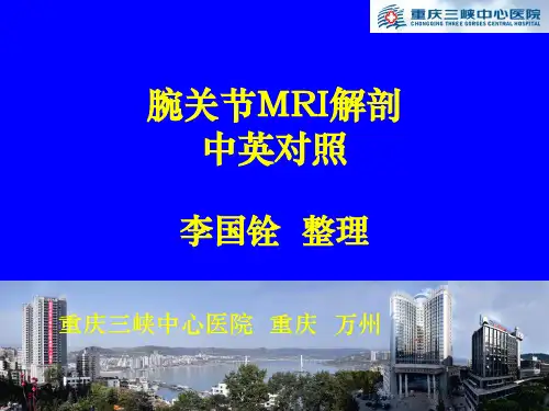 腕关节MR解剖中英对照