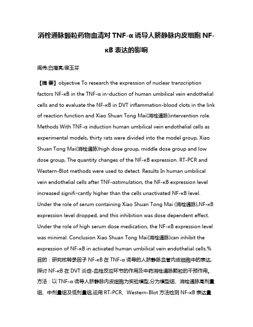 消栓通脉颗粒药物血清对TNF-α诱导人脐静脉内皮细胞NF-κB表达的影响
