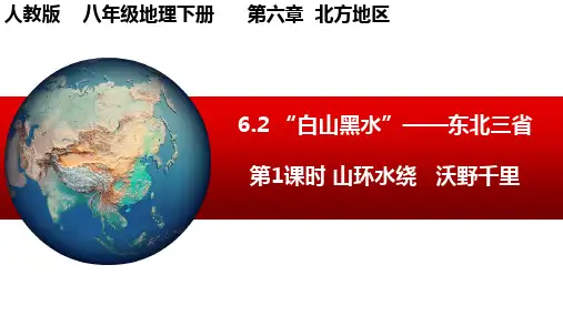 “白山黑水”东北三省(第1课时 山环水绕 沃野千里)2022-2023学年八年级地理下册(人教版) 