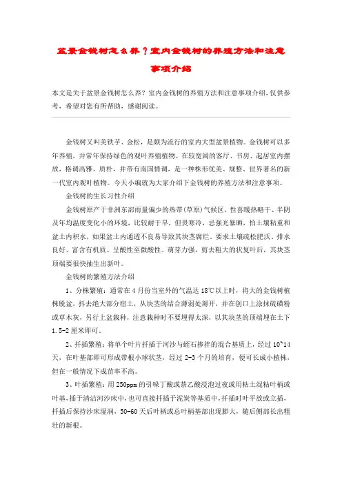 盆景金钱树怎么养？室内金钱树的养殖方法和注意事项介绍