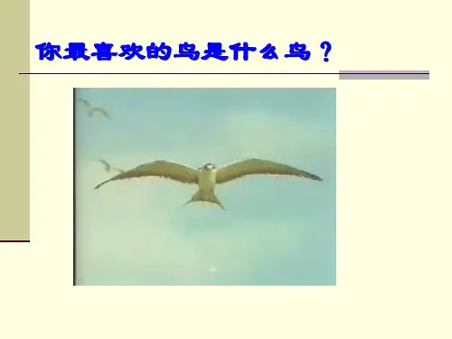 人教版(部编)初中语文八下第二单元第7课《大雁归来》优秀课件(45张)