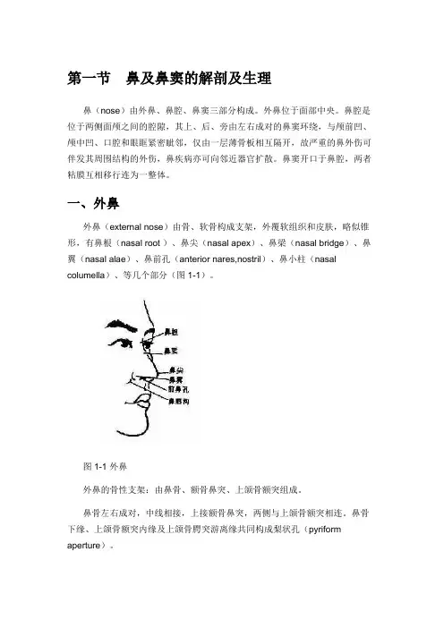 第一节 鼻及鼻窦的解剖及生理