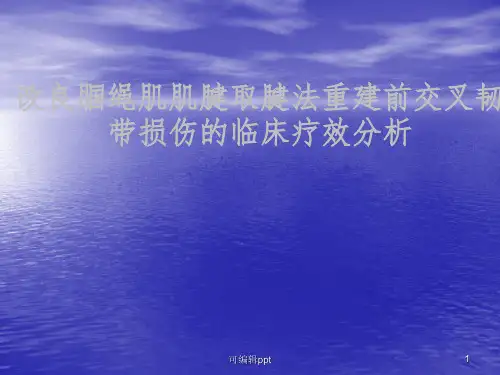 前交叉韧带重建中后侧小切口腘绳肌腱取腱方法ppt课件