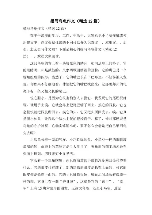 描写乌龟作文（12篇）.doc