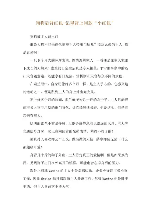 狗狗后背红包-记得背上同款“小红包”