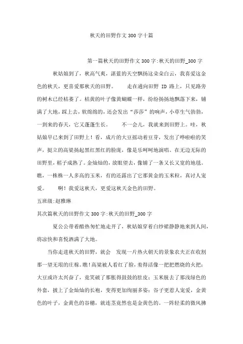 秋天的田野作文300字十篇