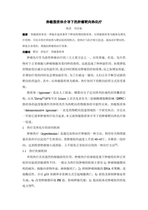 热敏脂质体介导下的肿瘤靶向热化疗
