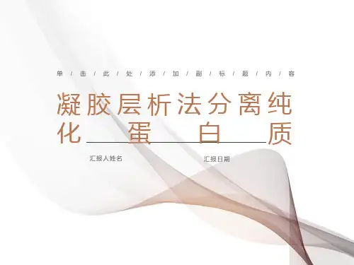 凝胶层析法分离纯化蛋白质