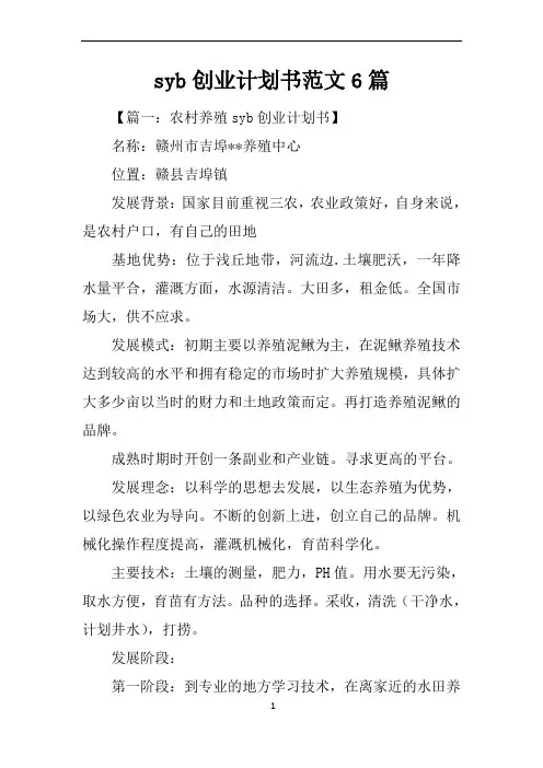 syb创业计划书范文6篇