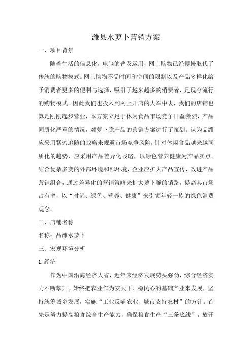 潍坊的水萝卜营销方案