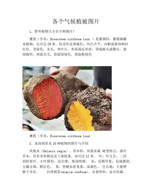 各个气候植被图片