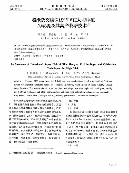 超级杂交稻深优9516在大埔种植的表现及其高产栽培技术