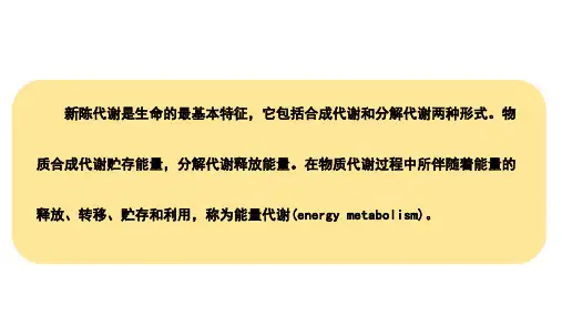 生理学第七章能量代谢与体温课件