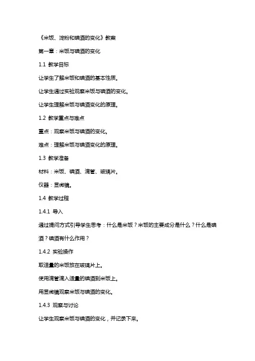 《米饭、淀粉和碘酒的变化》教案
