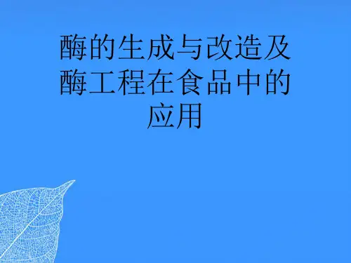 【正式版】酶的生成与改造及酶工程在食品中的应用PPT文档