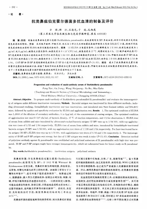 抗类鼻疽伯克霍尔德菌多抗血清的制备及评价