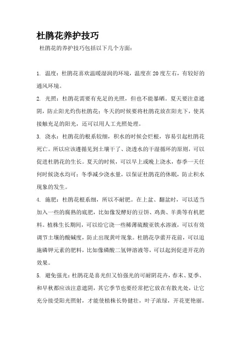 杜鹃花养护技巧