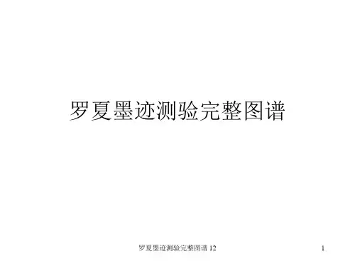 罗夏墨迹测验完整图谱 12
