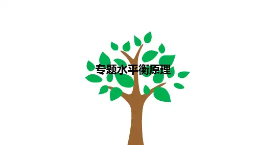 2024年高三地理二轮专题课件水平衡原理