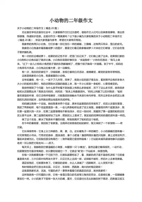 关于小动物的二年级作文（精选20篇） 2