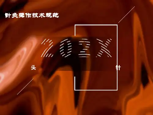 针灸操作技术规范-头针