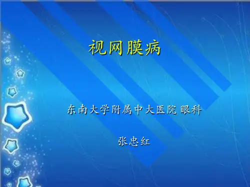 视网膜-视神经
