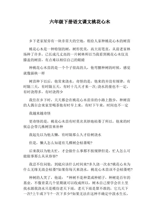 六年级下册语文课文桃花心木