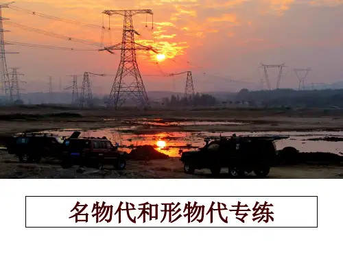 最新名物代和形物代专练