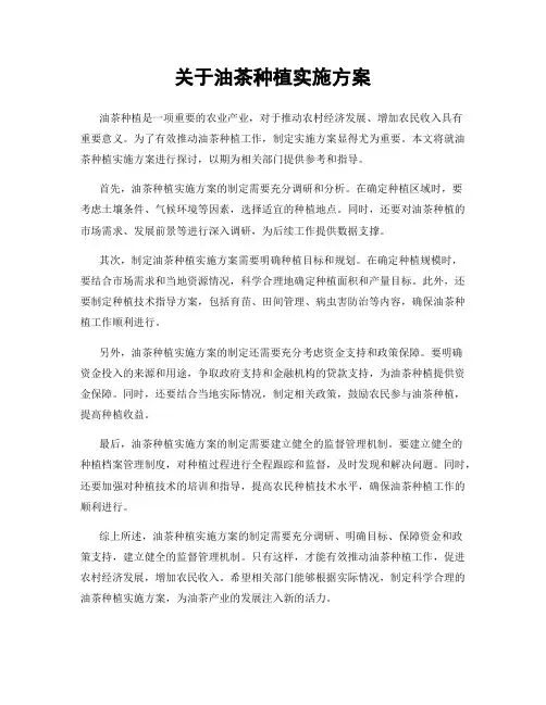 关于油茶种植实施方案