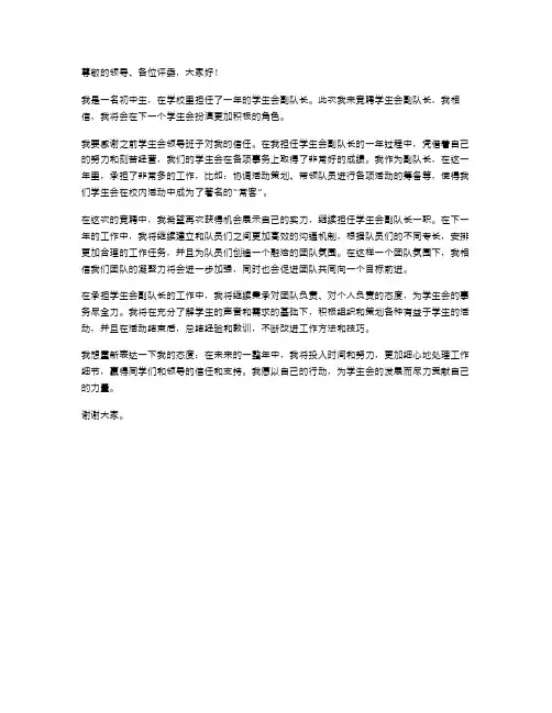 竞聘副队长述职报告