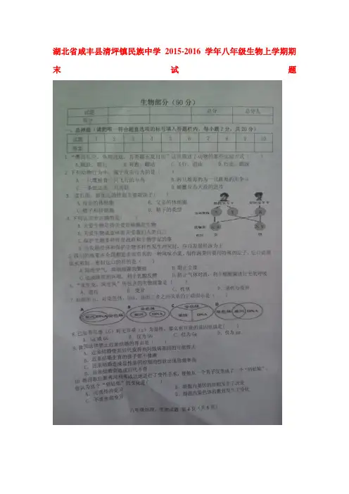 湖北省咸丰县2015-2016学年八年级生物上册期末试卷1