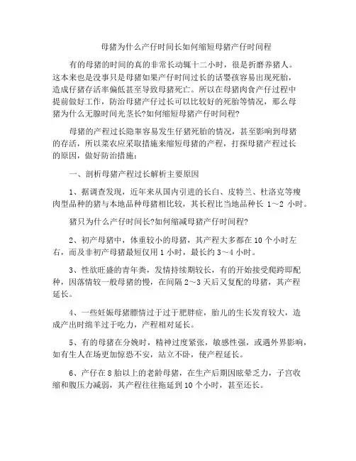 母猪为什么产仔时间长如何缩短母猪产仔时间程