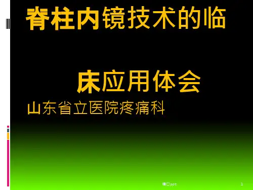 脊柱内镜技术的临床应用0348