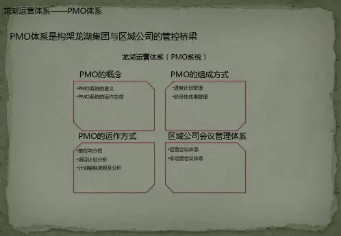 龙湖PMO运营体系研究--卓达项目专题研究