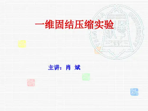 固结试验