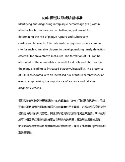内中膜斑块形成诊断标准