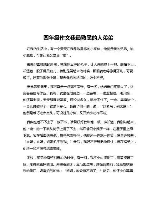 四年级作文我最熟悉的人弟弟