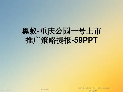 黑蚁-重庆公园一号上市推广策略提报-59PPT