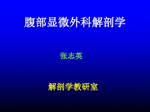 腹部皮、肌皮瓣瓣