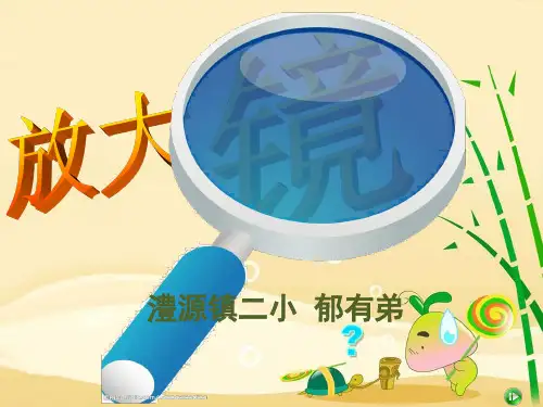 六年级下册科学课件-1.1 放大镜｜教科版 (共8张PPT)