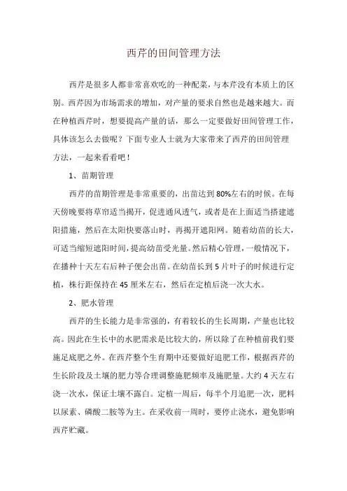 西芹的田间管理方法