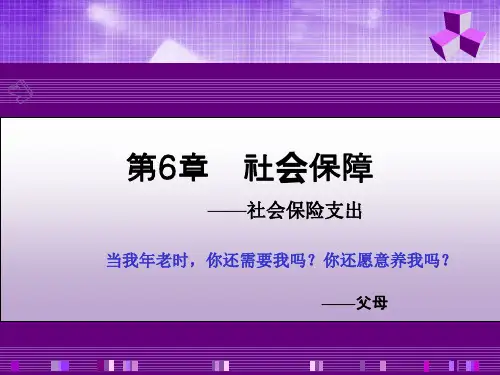 第6章 社会保险支出