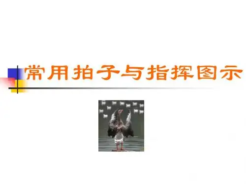 常用拍子与指挥图示