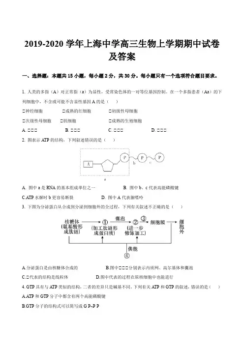 2019-2020学年上海中学高三生物上学期期中试卷及答案