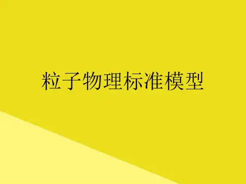 粒子物理标准模型PPP文档(最全版)