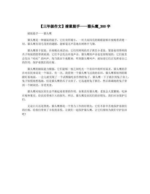 【三年级作文】捕鼠能手——猫头鹰_300字