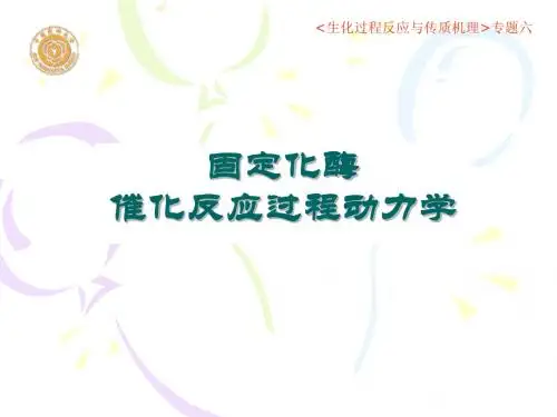第三章  固定化酶催化反应过程(wfw)