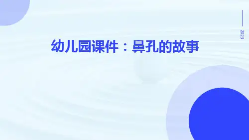幼儿园课件：鼻孔的故事